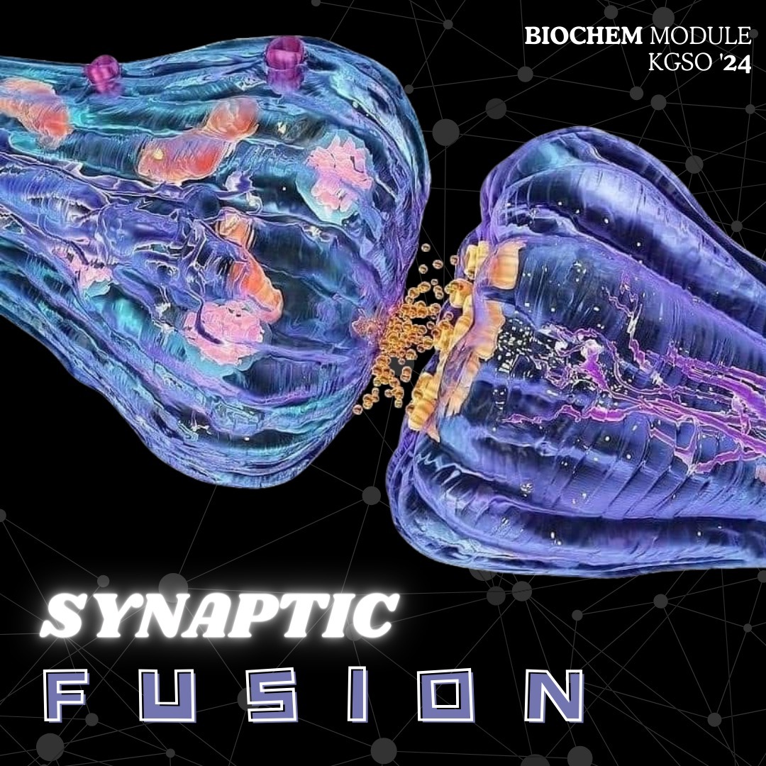 Synaptic Fusion